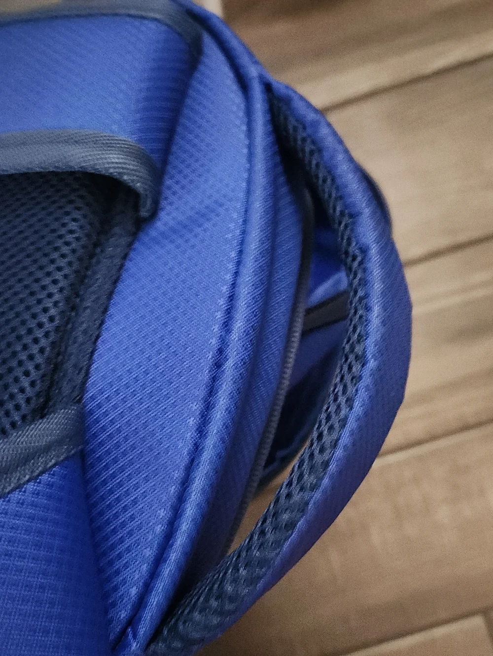 Champion Blue and Navy Men's Backpack with White Accents